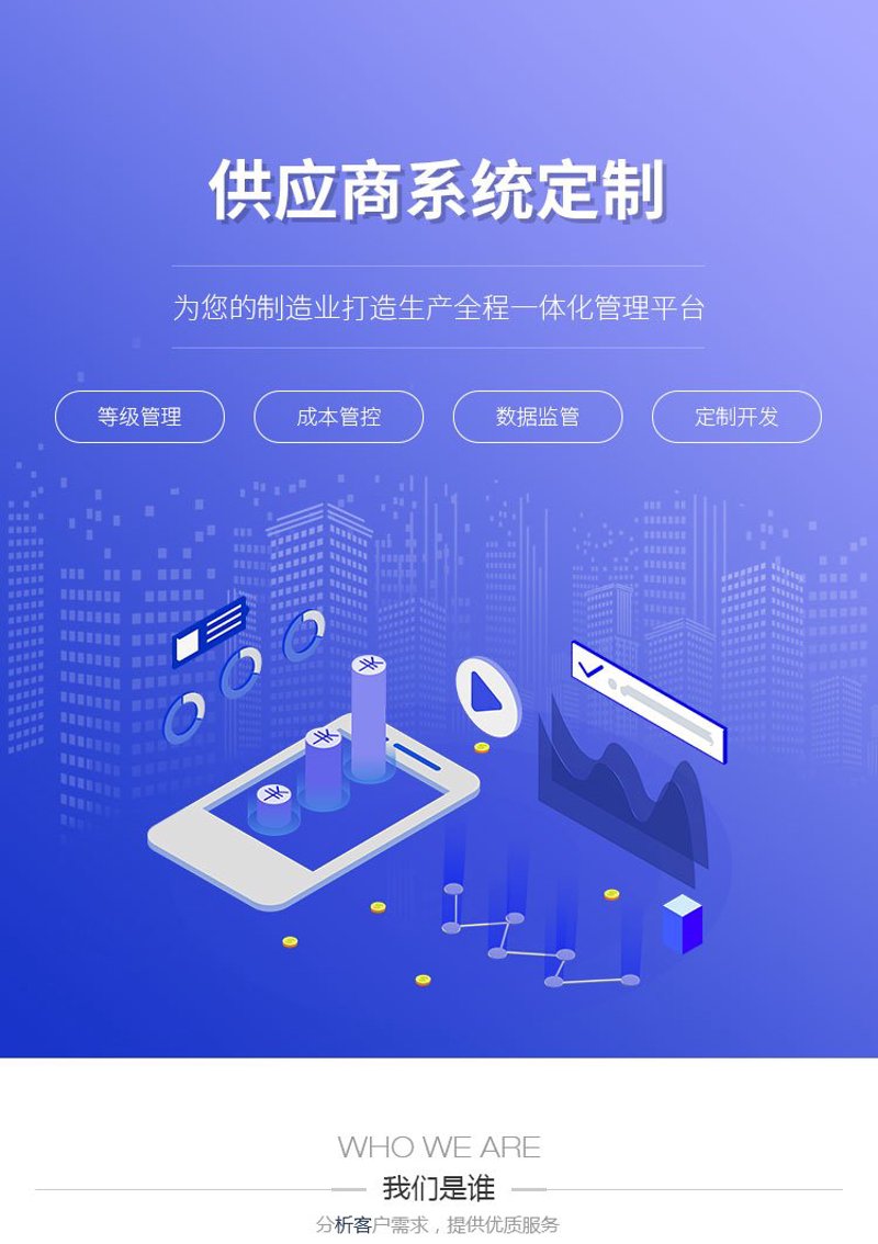 定制管理系统:企业数字化转型的新钥匙